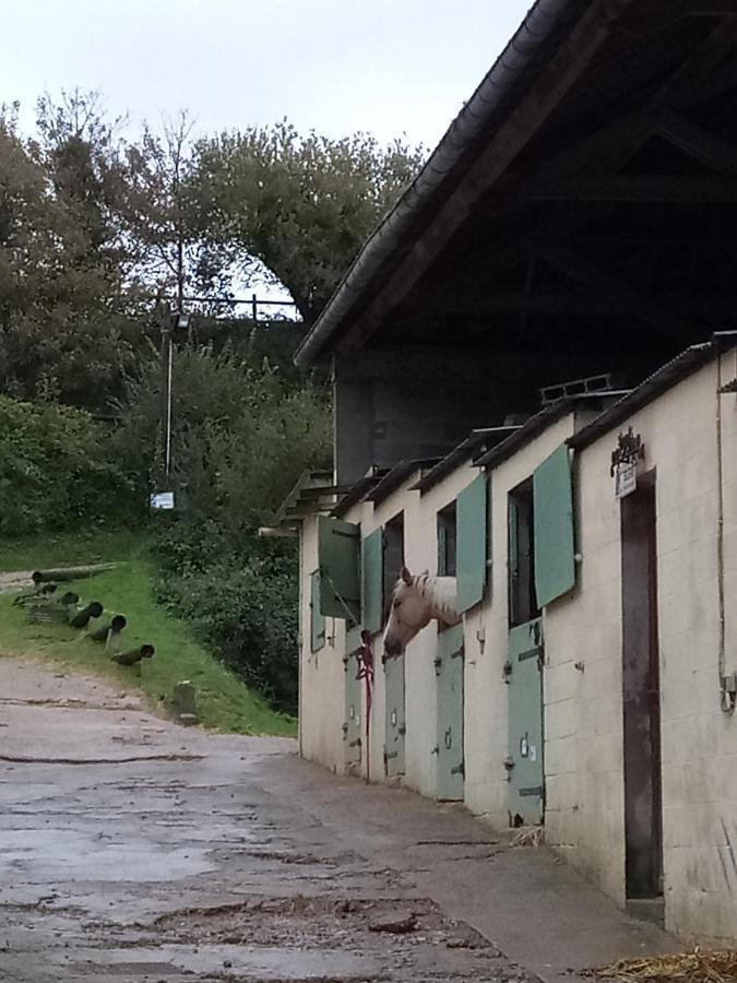 Studio Mer Et Centre Equestre 메르레뱅 외부 사진
